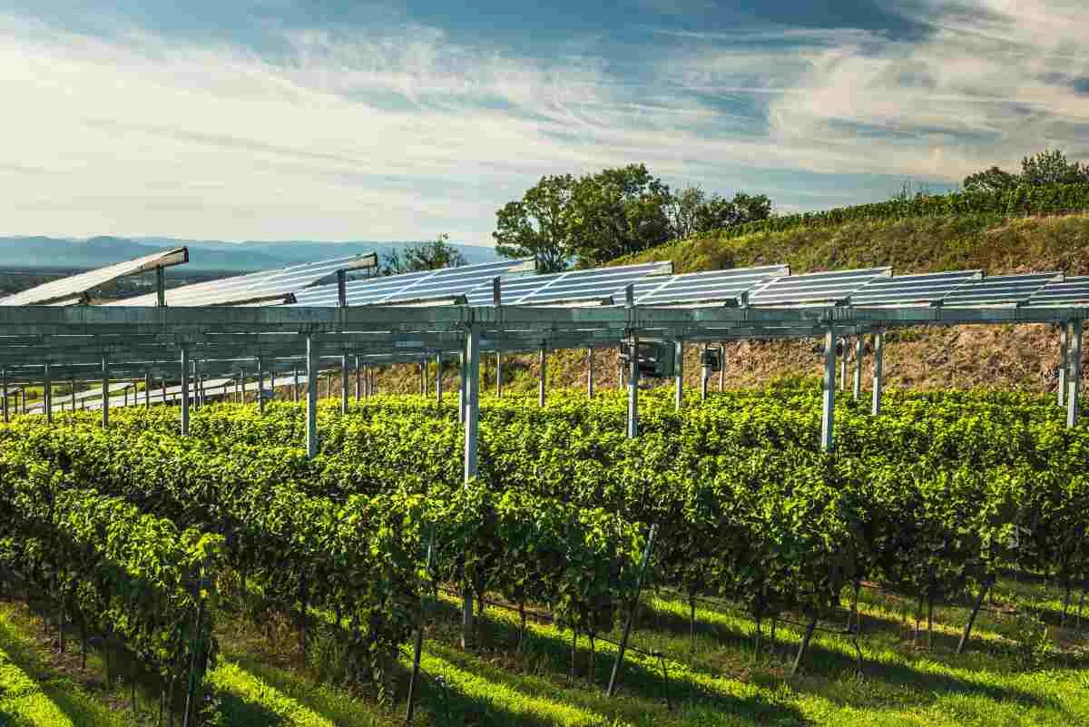 Agrivoltaico, il CdS boccia gli indirizzi della Lombardia