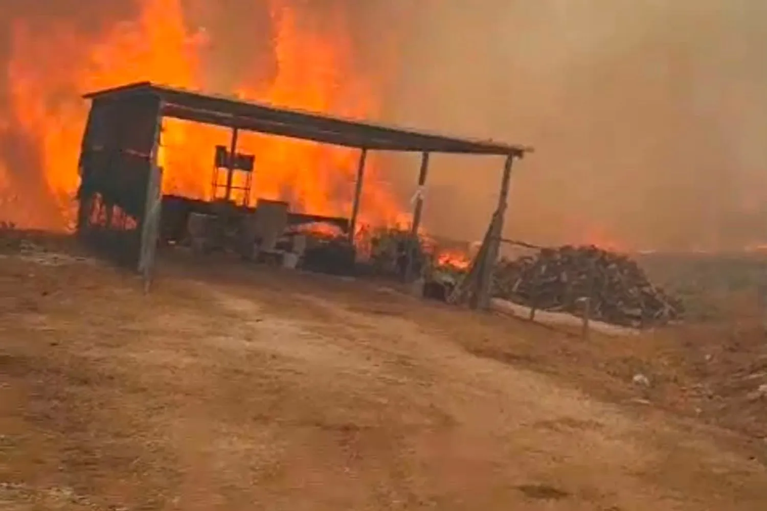 Il Gargano brucia: il fuoco arriva sulle spiagge di Peschici, turisti portati in salvo via mare