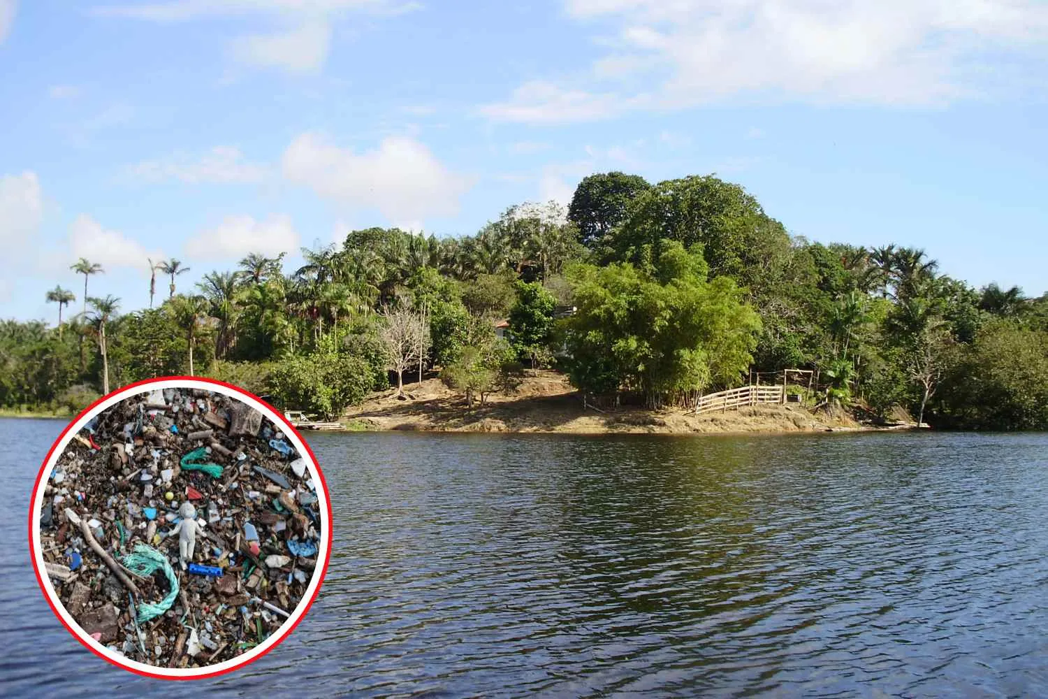 La plastica entra nell'Amazzonia e finisce nei pesci che sfamano milioni di persone