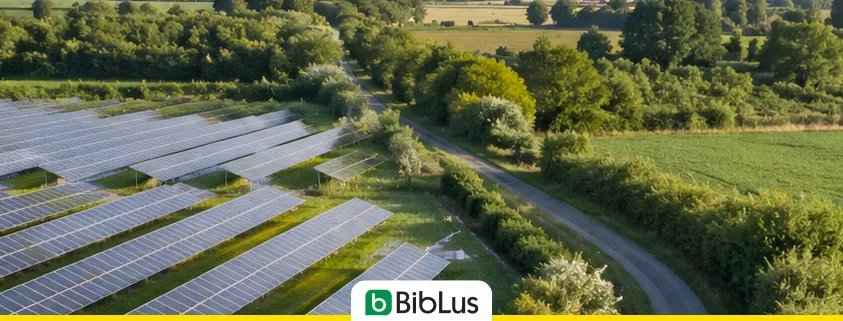 Fotovoltaico a terra su terreno agricolo: norme, limiti, autorizzazioni e giurisprudenza