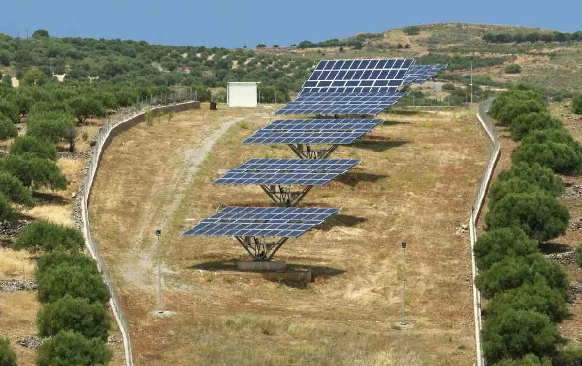 Camera: ok al vincolo “ulivi” per le rinnovabili