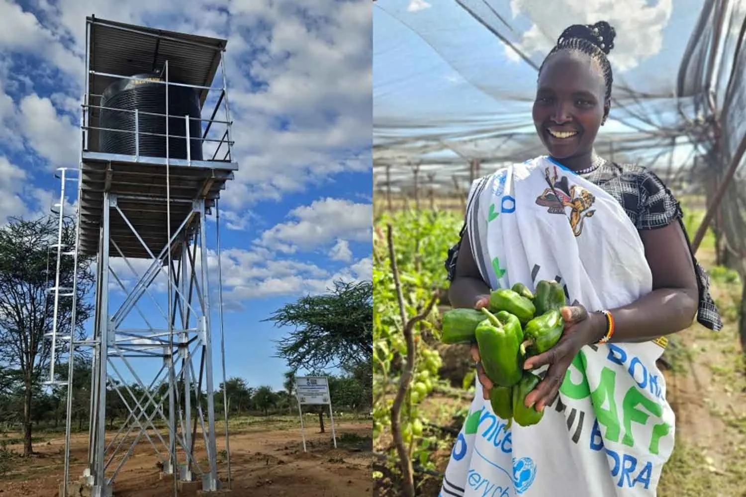 Quindici donne, un pozzo solare e un orto: così un villaggio del Kenya resiste a fame e siccità