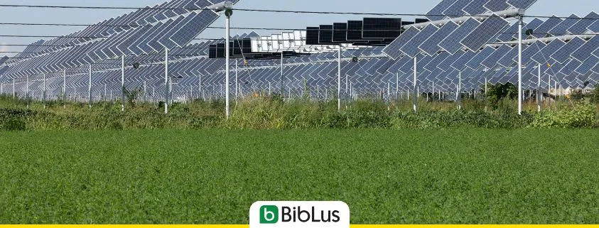 Impianto agrivoltaico: cos’è, come funziona, norme e autorizzazioni