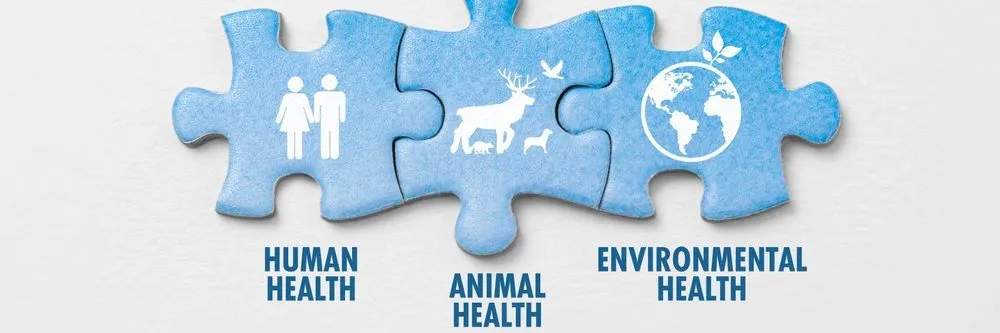 Dalla ricerca finalizzata del ministero della Salute oltre due milioni per progetti in ottica One health - AboutPharma