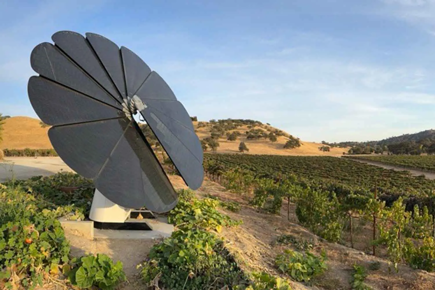 Quando il fotovoltaico impara dalla Natura: il pannello solare che ruota come i girasoli per produrre più energia
