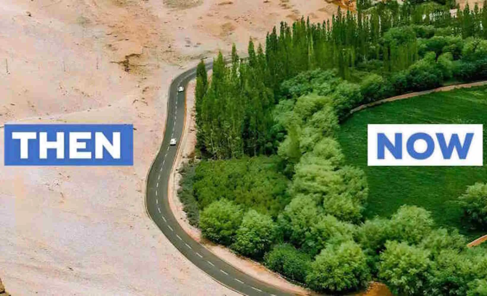 Grande Muraglia Verde: iniziano a farsi vedere gli effetti della gigantesca riforestazione della Cina (e sono sorprendenti anche sul ciclo dell'acqua)