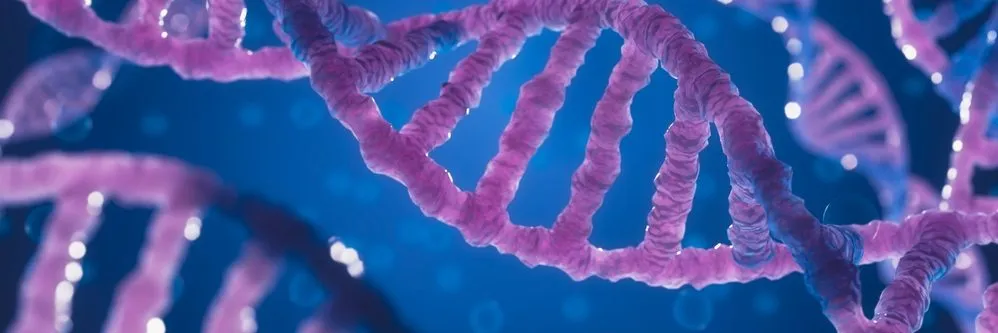 Encefalopatia epilettica SCN2A: terapia personalizzata con oligonucleotidi antisenso riduce le crisi in due bambini - AboutPharma