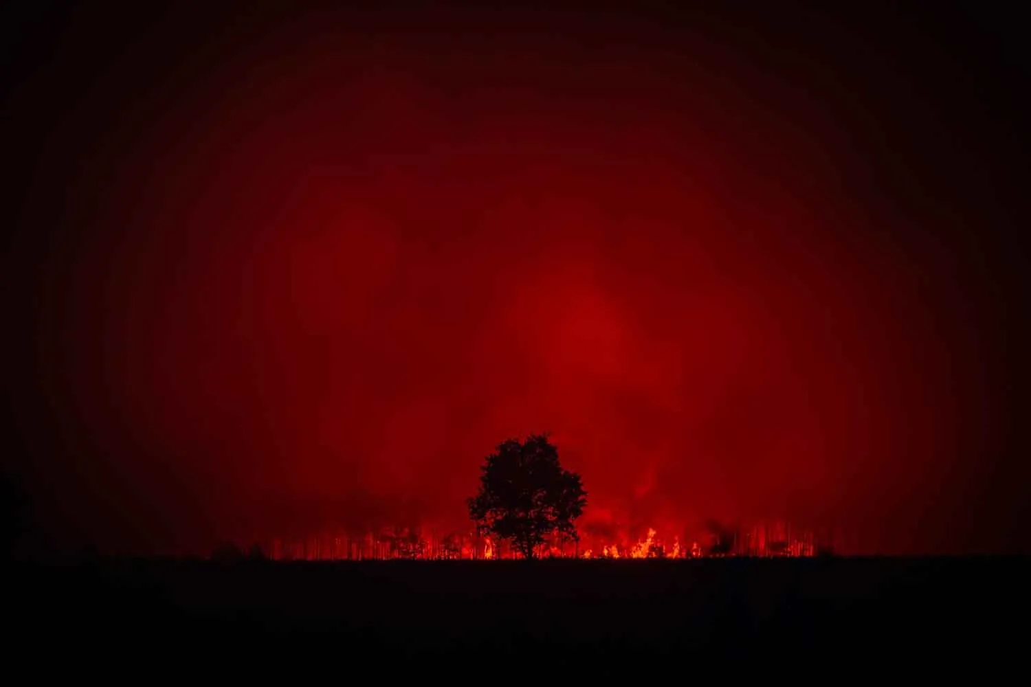 I vigili del fuoco francesi si trovano ad affrontare per la prima volta un "pirocumulonembo", un pericoloso fenomeno mai visto in Francia