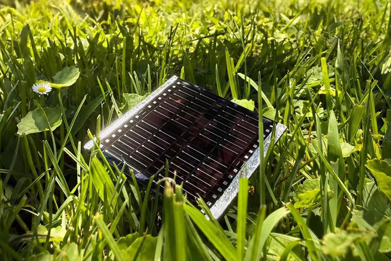 Fotovoltaico di nuova generazione: queste celle solari in kesterite hanno raggiunto il 12,6% di efficienza