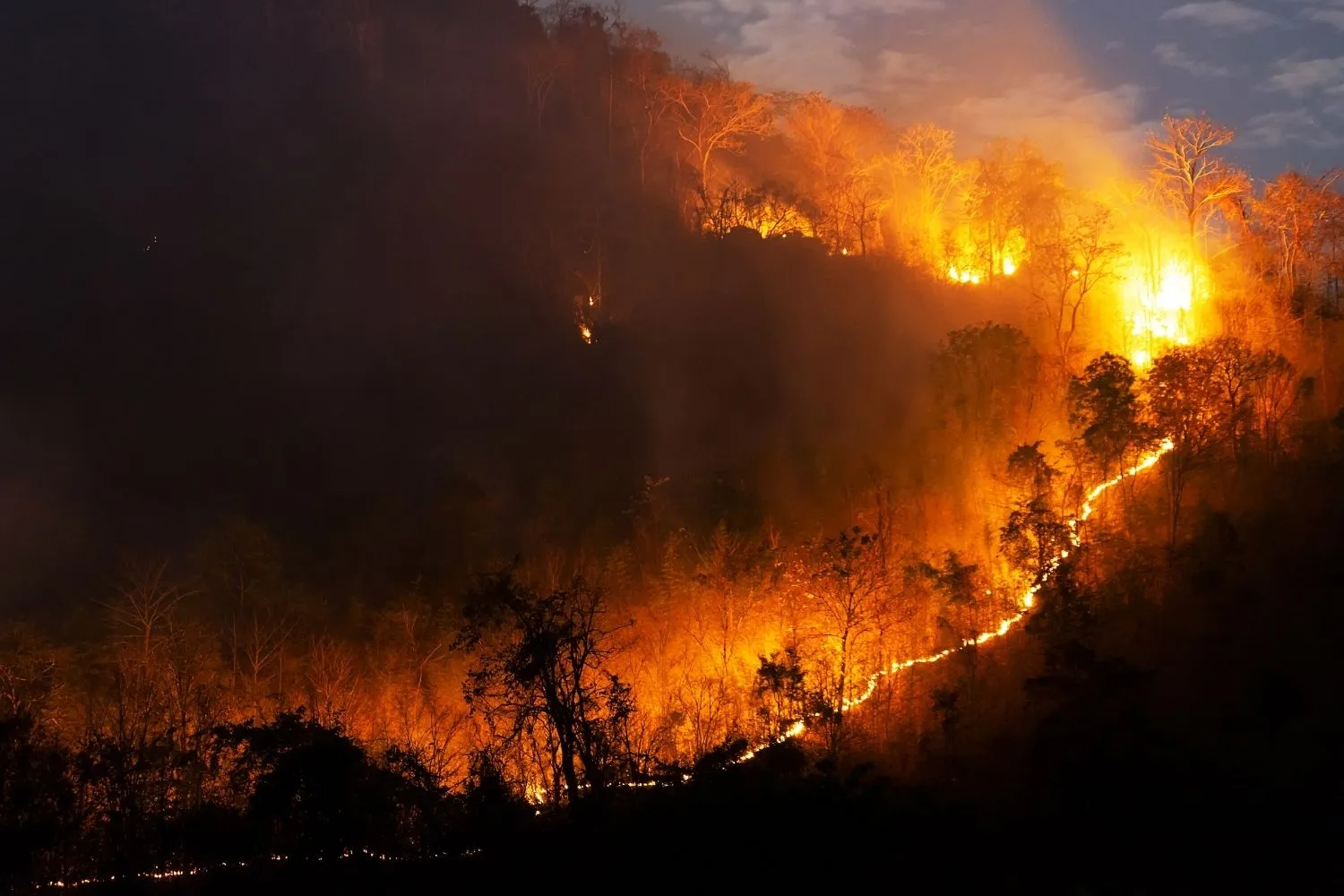 Incendi record in Francia e Spagna, il rapporto WWA: "Il cambiamento climatico ha reso questi eventi fino a 20 volte più probabili"