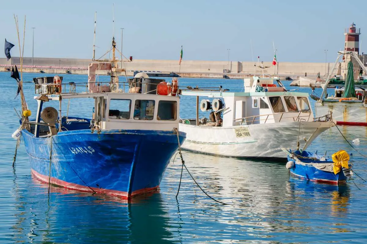 Puglia, incentivi imprese pesca per efficienza e rinnovabili