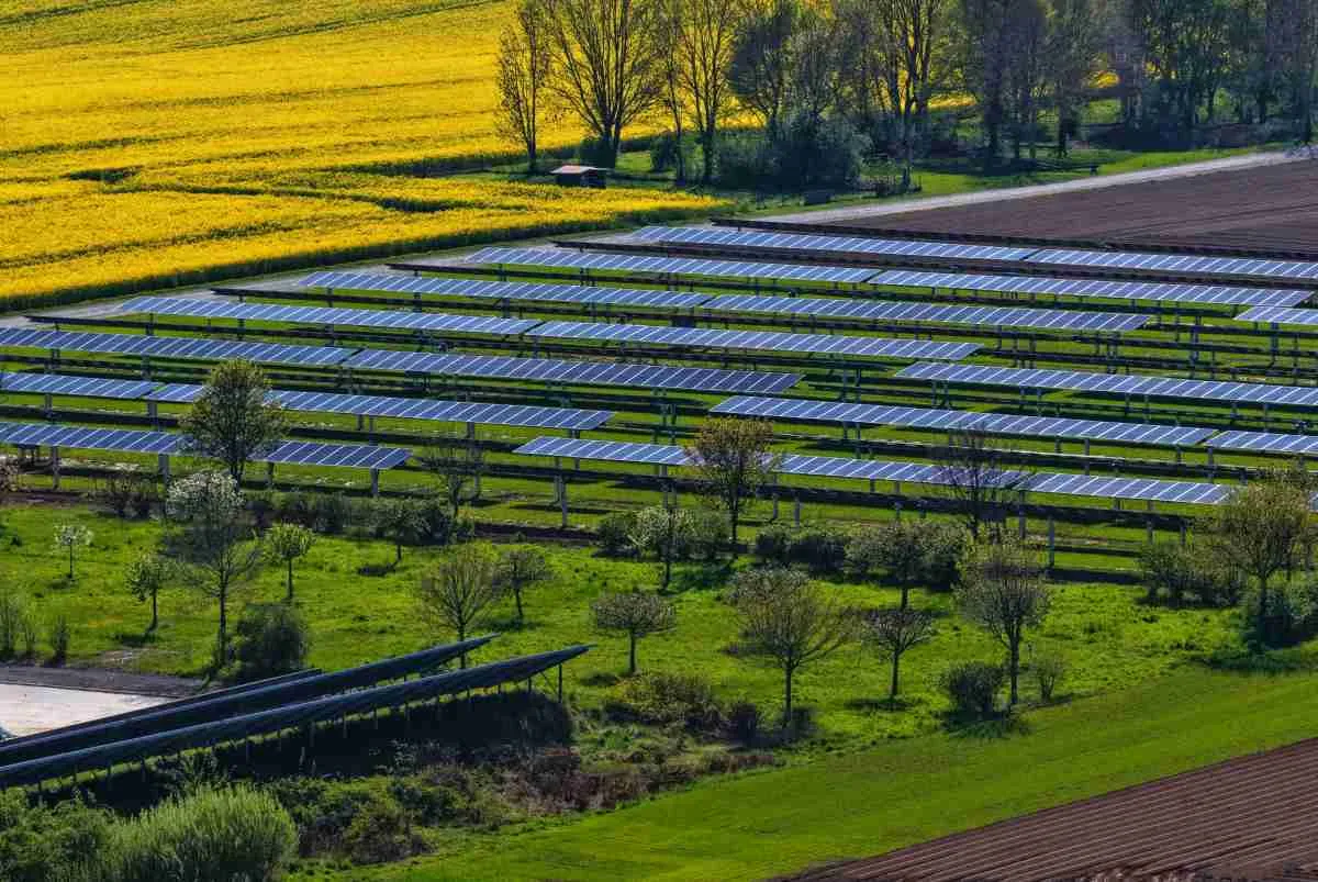Piano ripristino natura, Anci vuole modifiche su rinnovabili