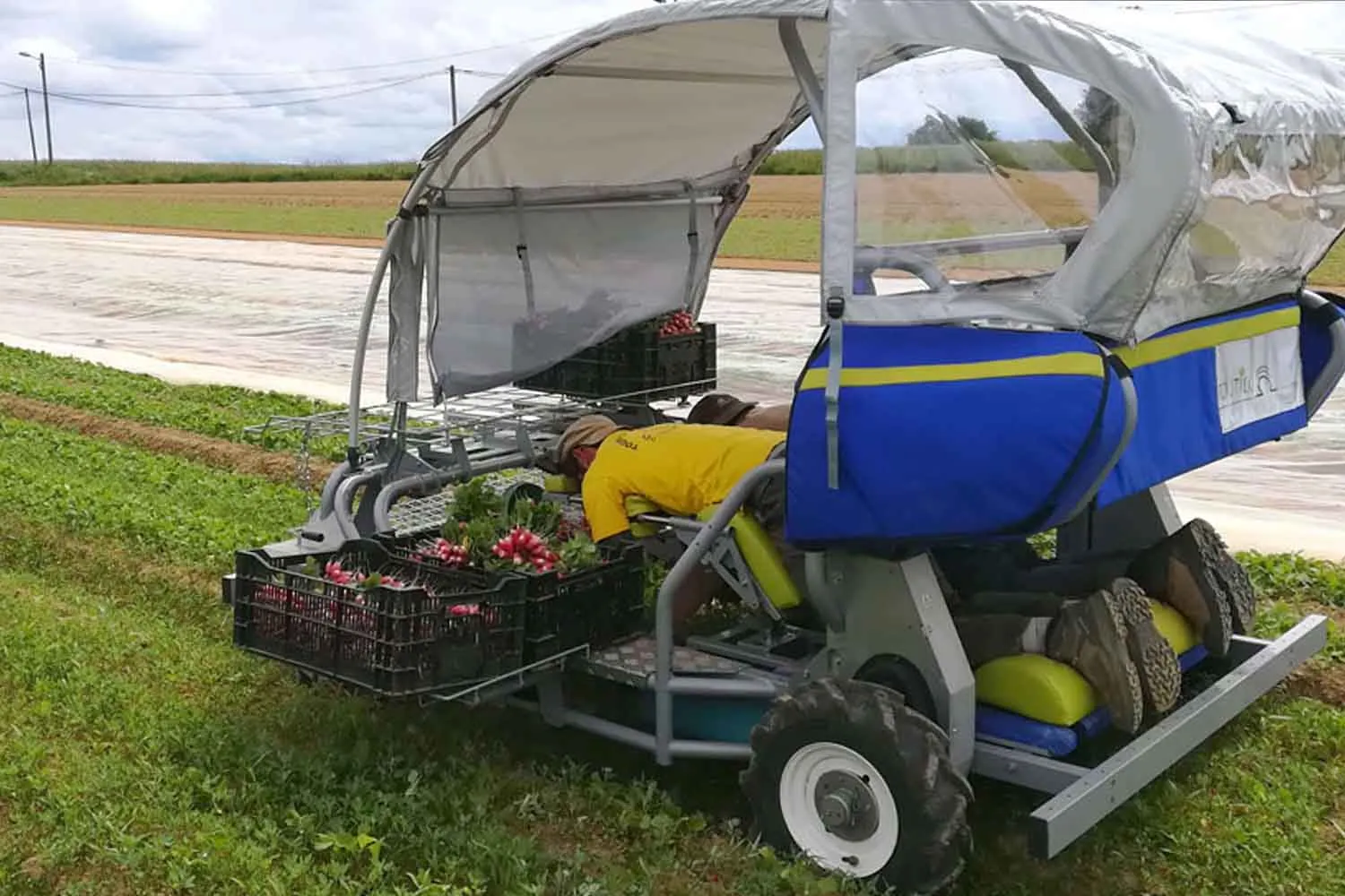 Inventa uno speciale macchinario che salva la schiena degli agricoltori, facendoli lavorare restando sdraiati