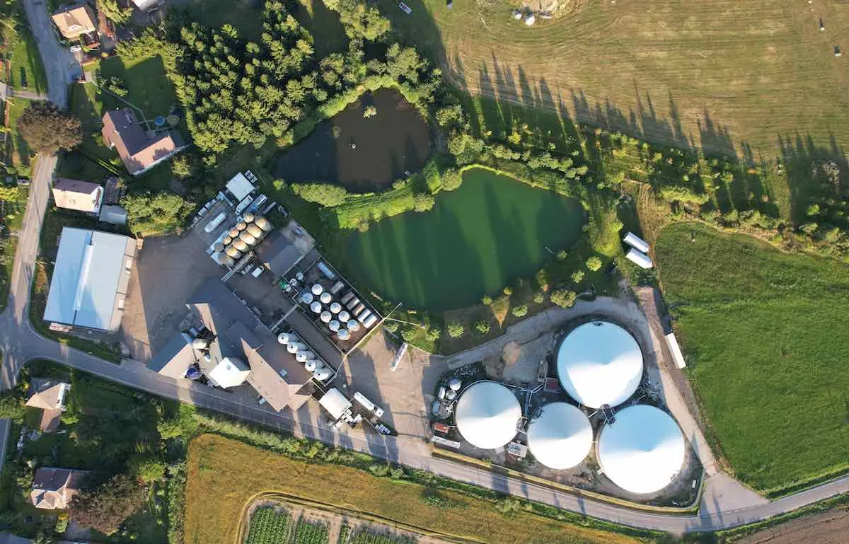 Prezzi minimi garantiti biomasse, Arera chiede un correttivo