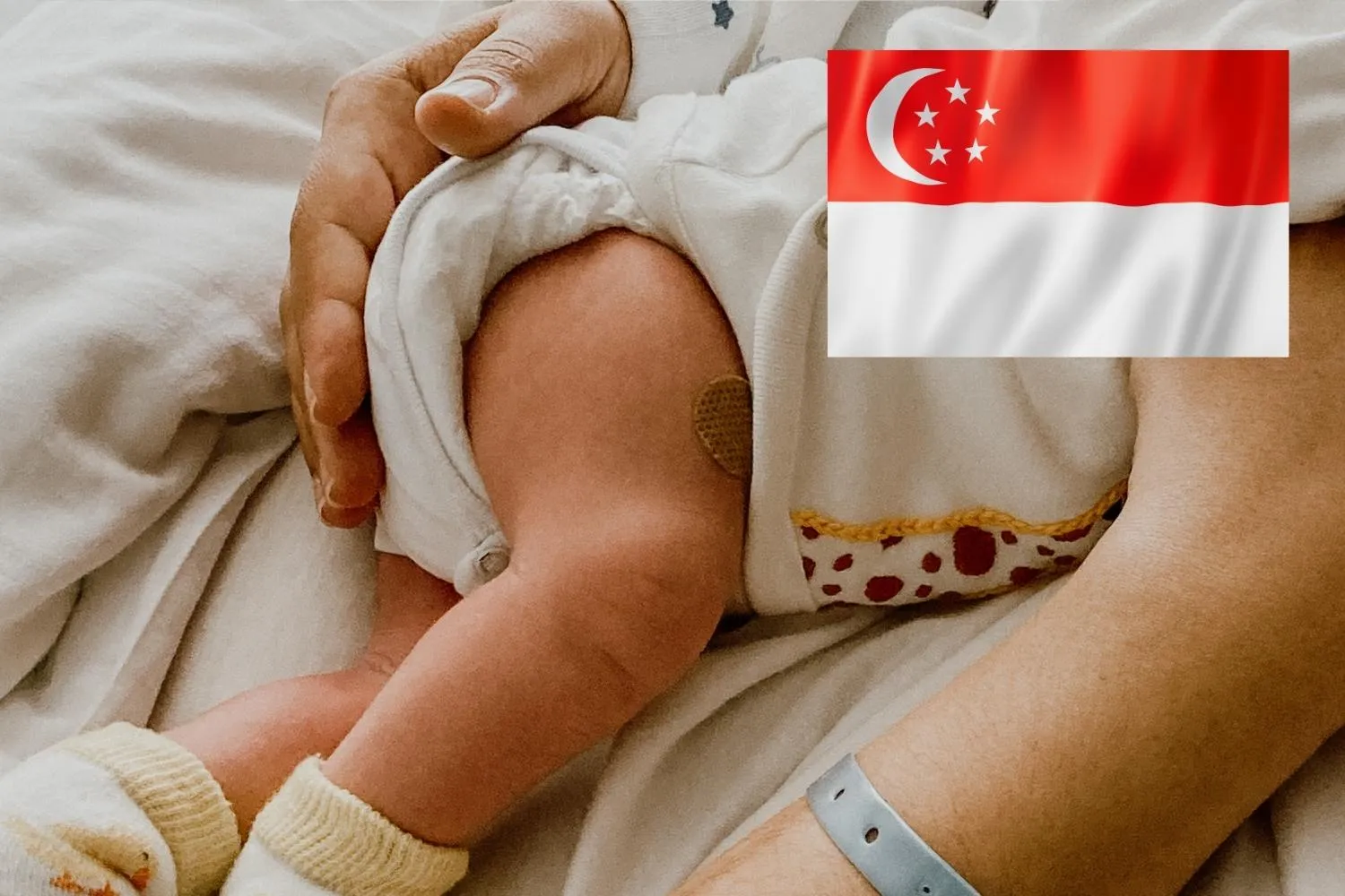 Un bonus fino a 70mila dollari per ogni figlio: così Singapore combatte il crollo delle nascite
