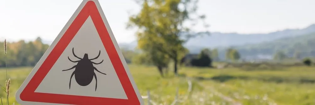 Febbre emorragica Crimea-Congo, studio apre a terapia anticorpale contro il virus trasmesso dalle zecche - AboutPharma