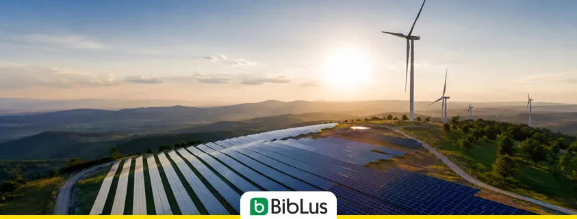 Aree idonee FER: la Corte costituzionale boccia il blocco delle autorizzazioni regionali