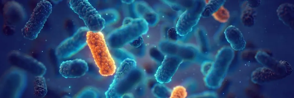 Un sensore al grafene "ascolta" i batteri e guida la scelta verso l'antibiotico più efficace - AboutPharma