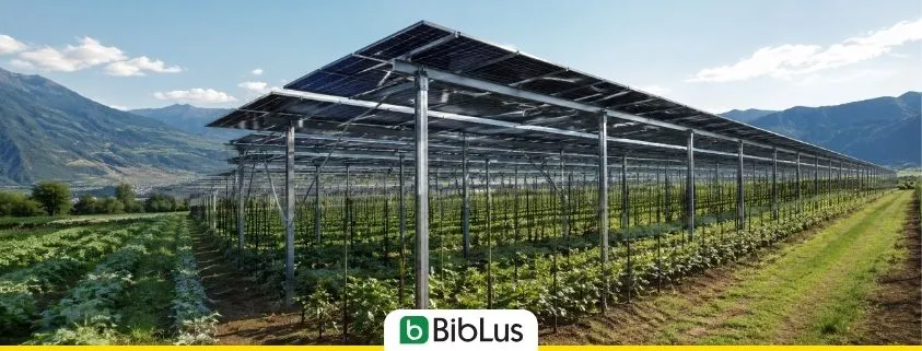 Impianti agrivoltaici: la Regione può imporre che il proponente sia un’impresa agricola?