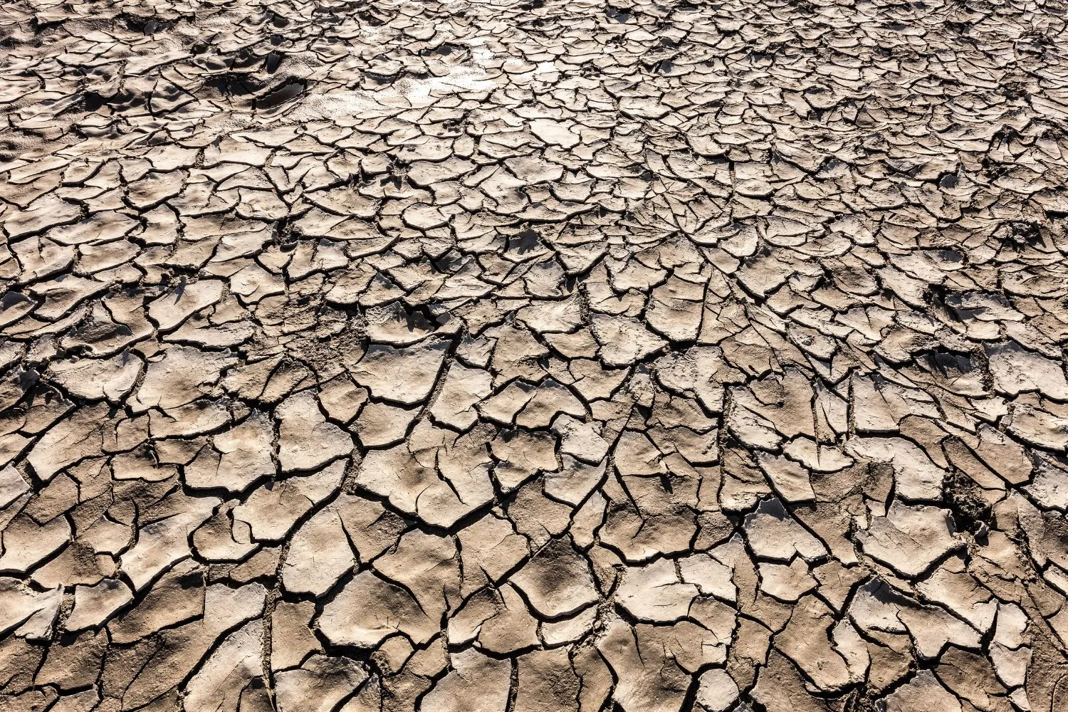Il 40% della Terra diventerà arido entro il 2100: la mappa delle aree più a rischio