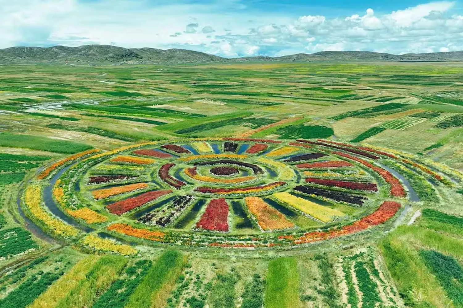 In Perù hanno rimesso in funzione i waru waru inca: 3.000 anni dopo aiutano ancora le patate contro il clima estremo